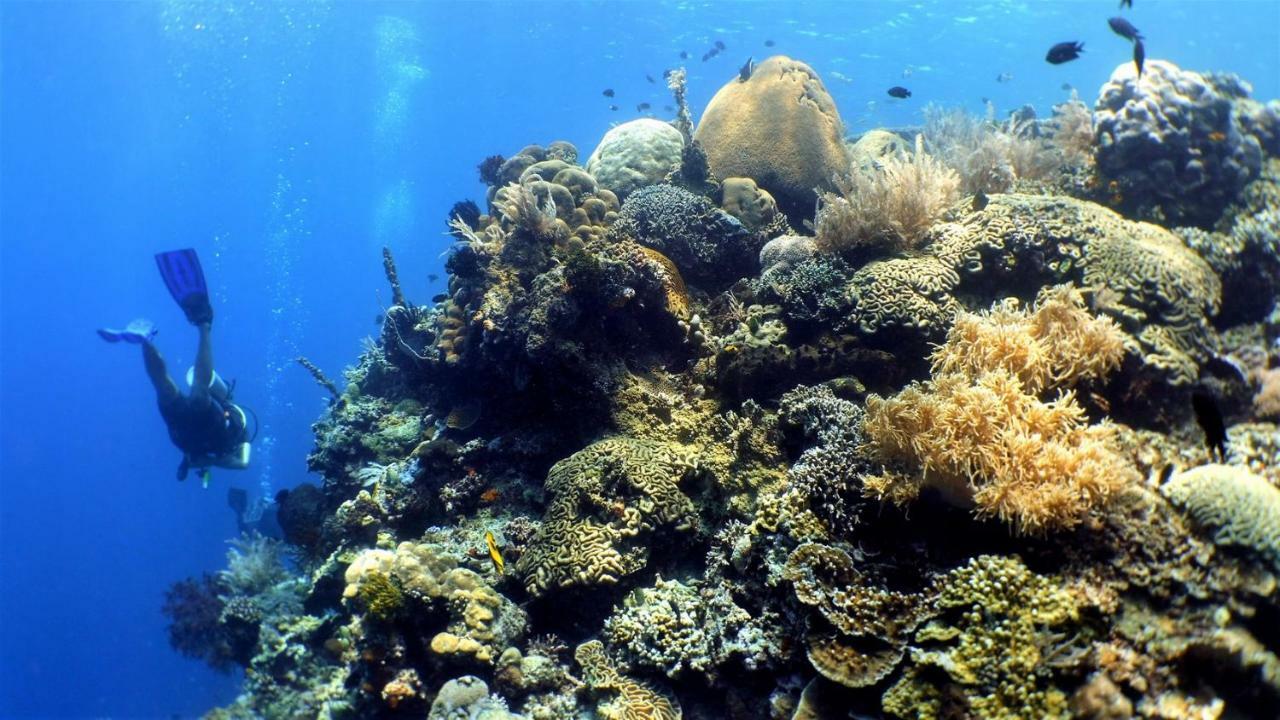 Bunaken Sea Garden Resort Kültér fotó